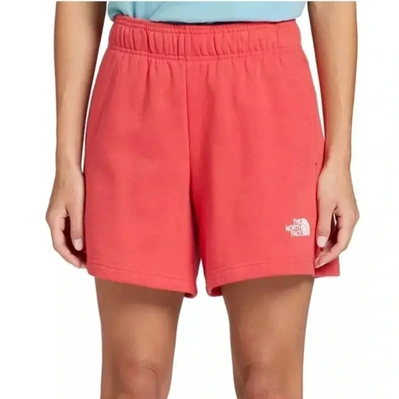 The North Face Evolution Shorts Clay Red NEW Size M - Picture 2 of 6